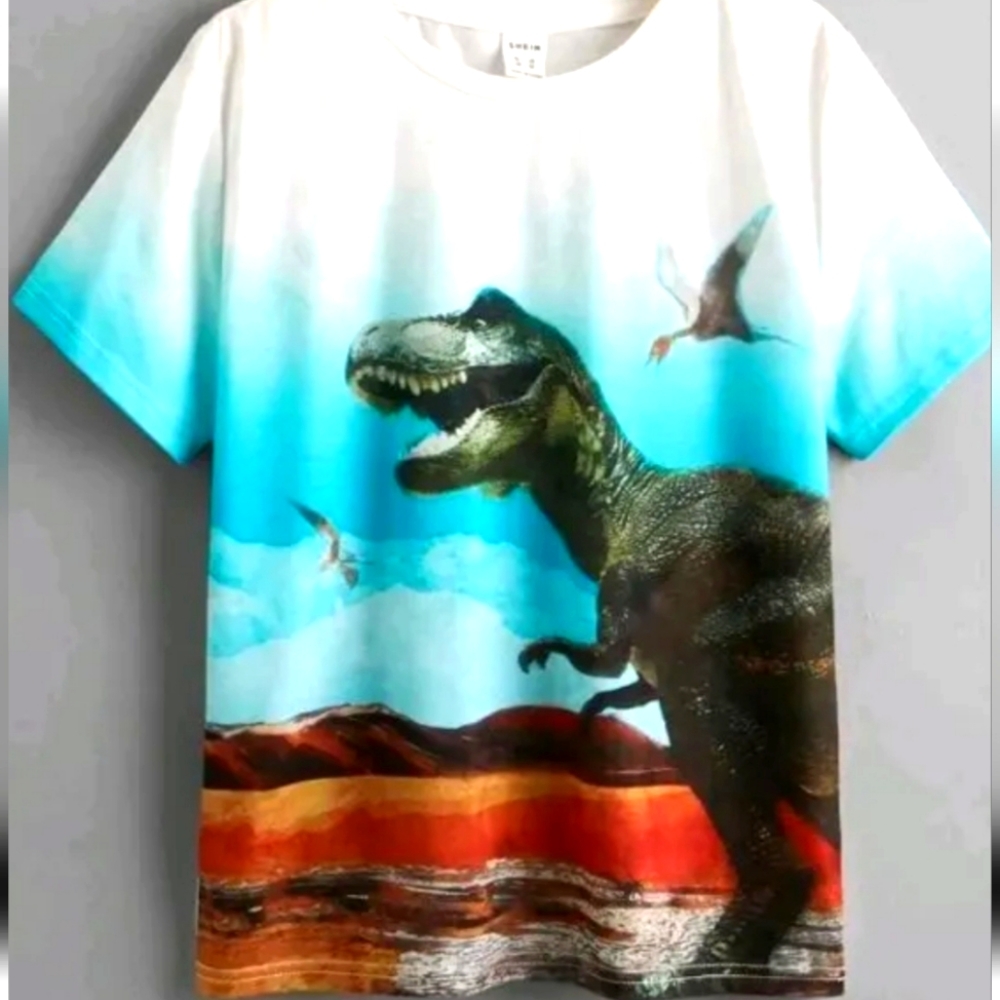 Boys 2 to3 year old blend fabric new t shirt